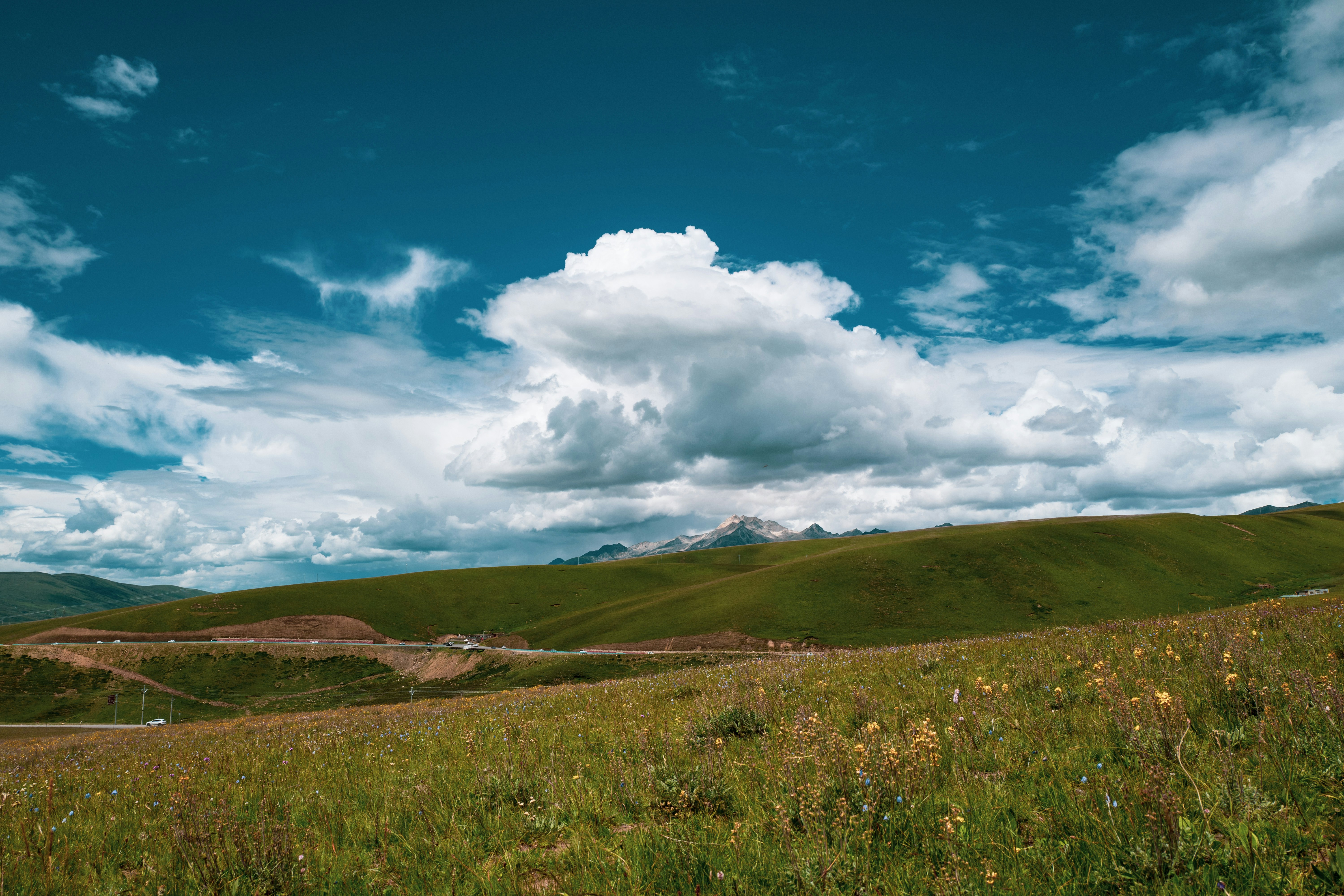 Photo by xingchenyan