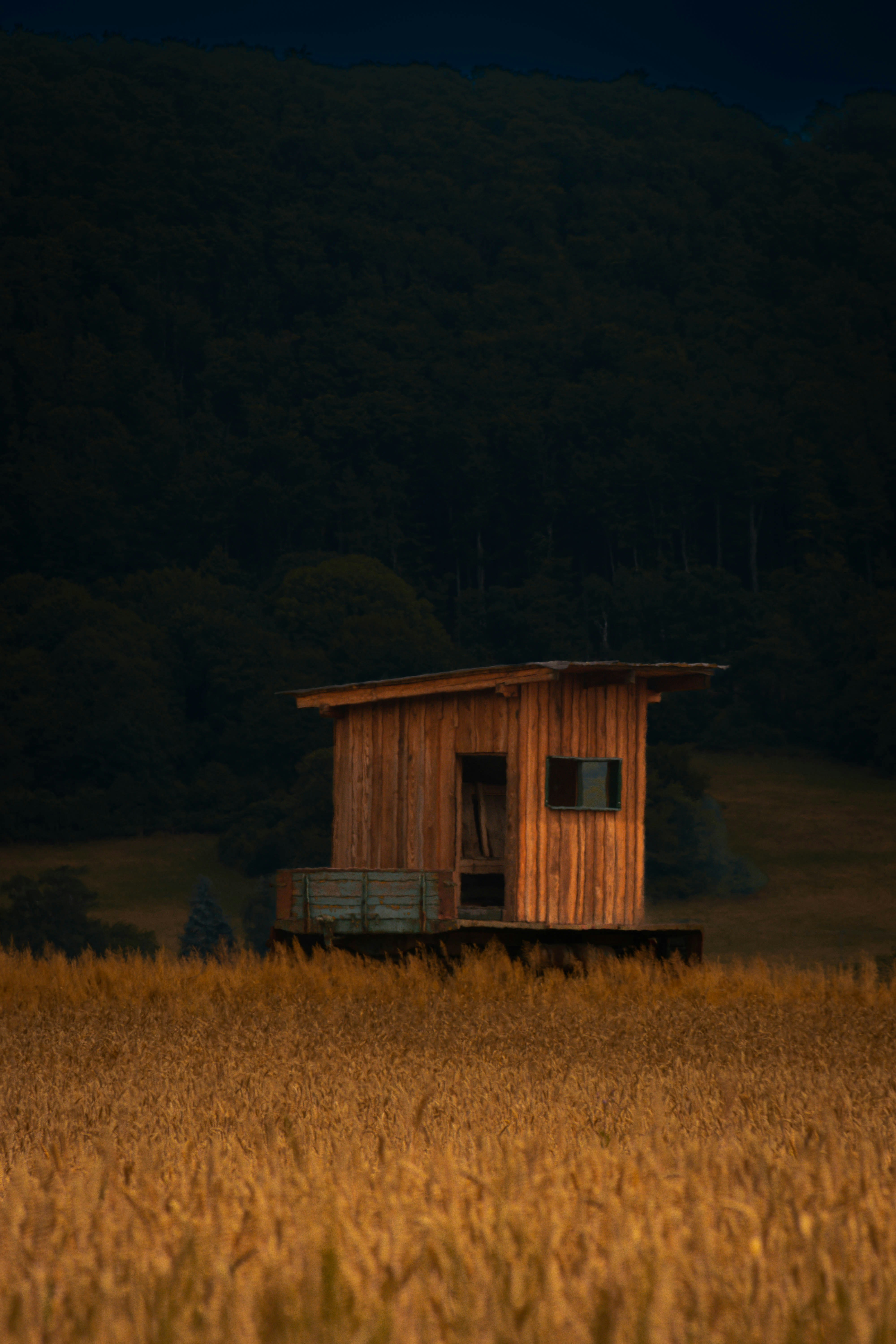 Photo by jonlevinsky