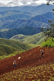 a group of people walking up a hill