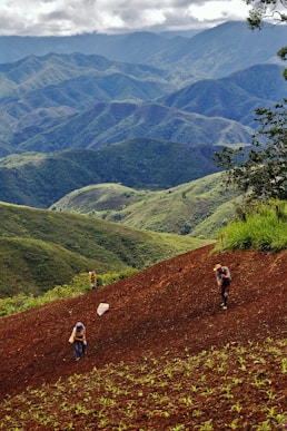 a group of people walking up a hill