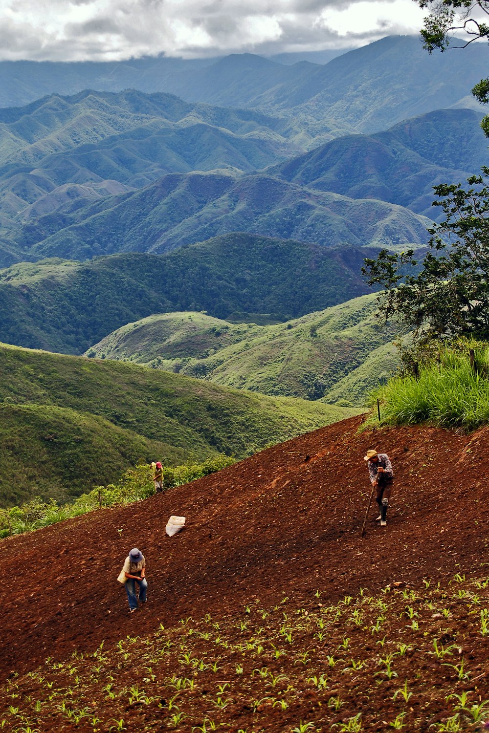 a group of people walking up a hill