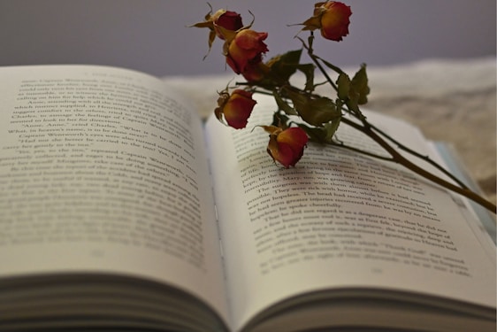 A soft pastel illustration of an open book surrounded by gentle curves and delicate floral motifs.