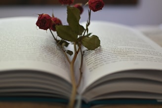 A close-up of pink roses and golden bookmarks next to an open romance novel.