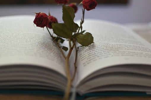 A close-up of pink roses and golden bookmarks next to an open romance novel.