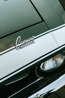 a close up of a car's emblem on a car
