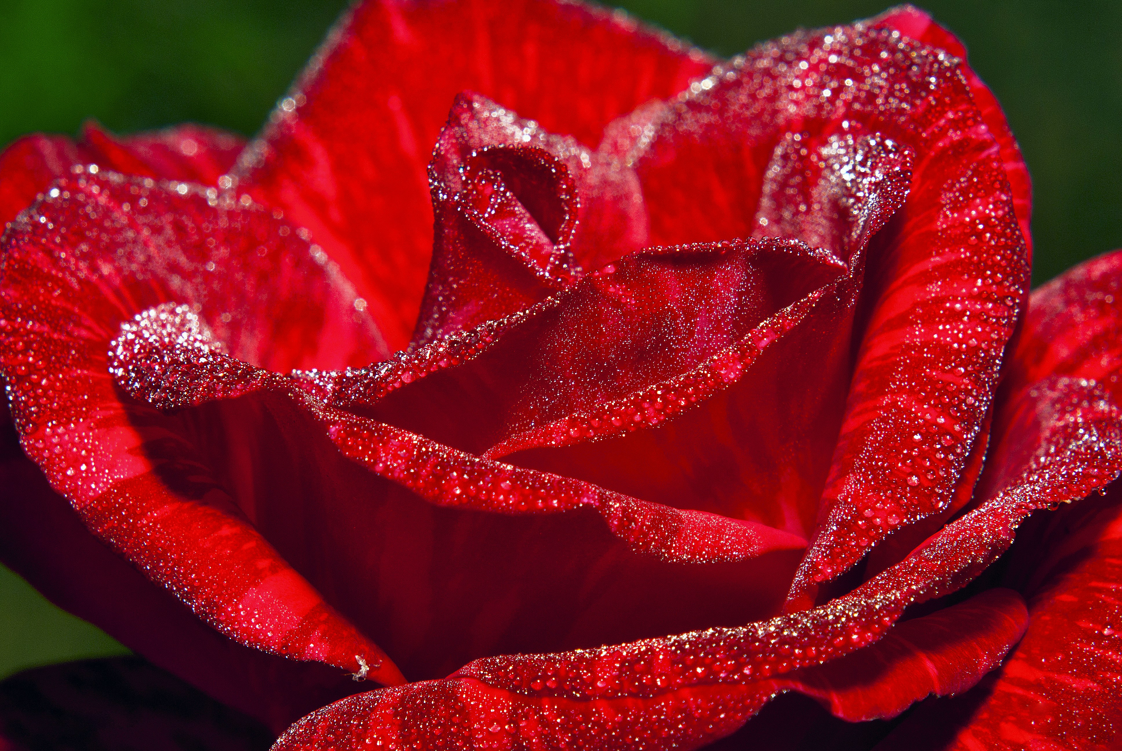 Photo by jaime_serrano