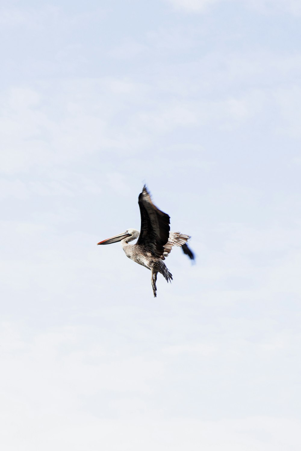 a large bird flying through a blue sky