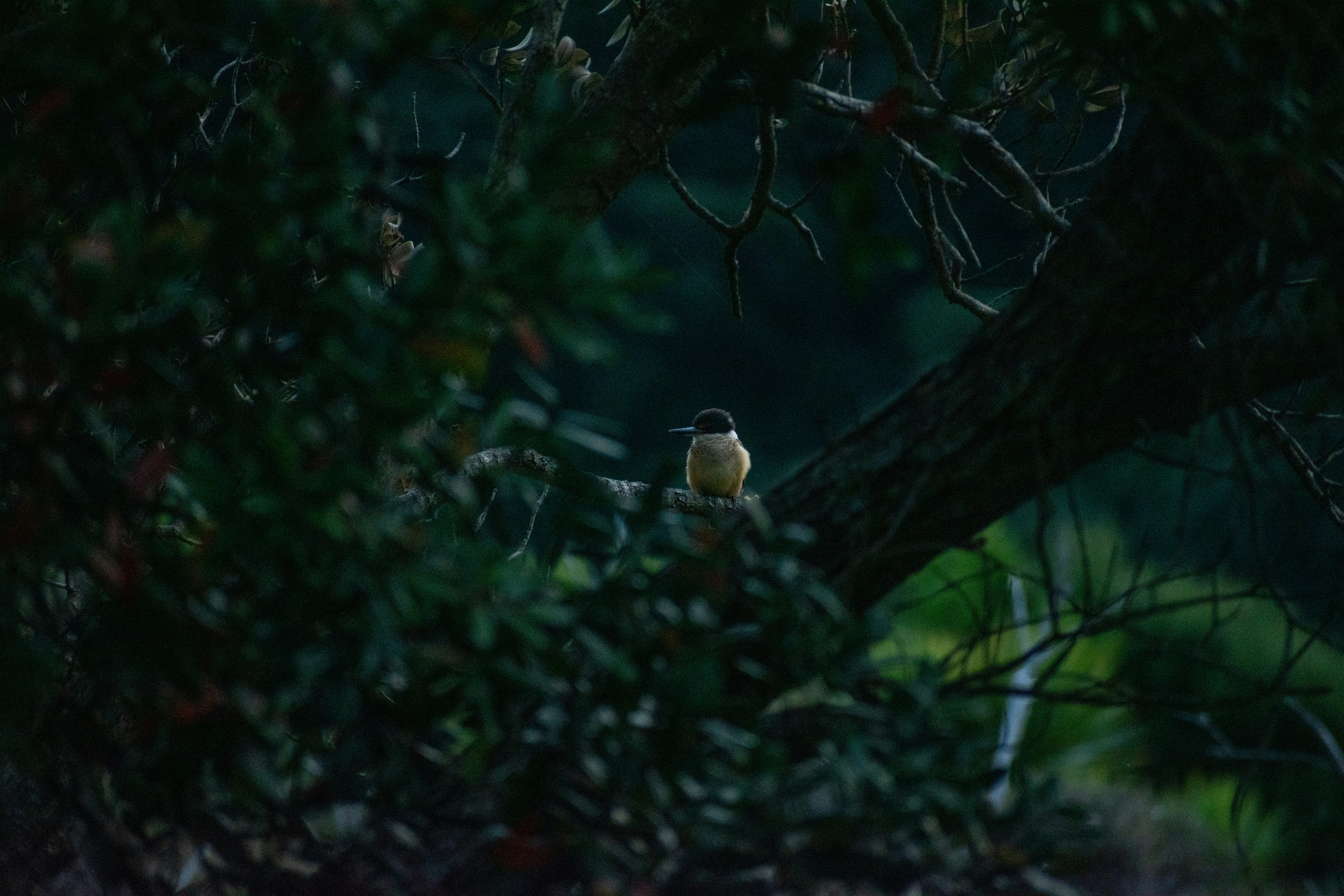 Photo by pratere