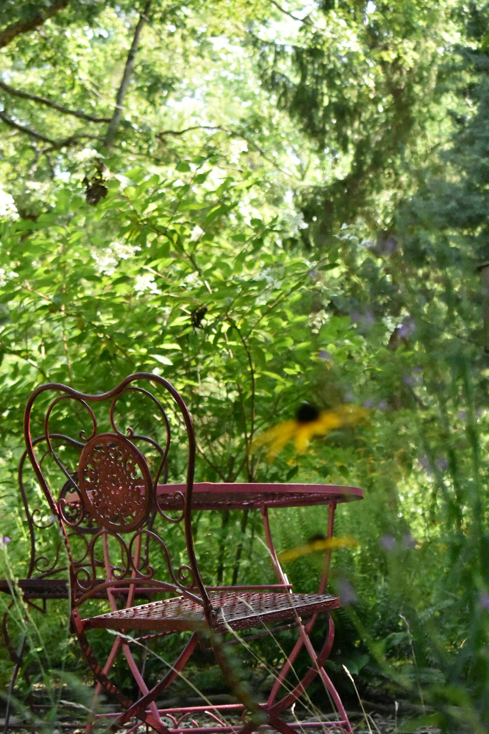an old chair and table in the middle of the woods