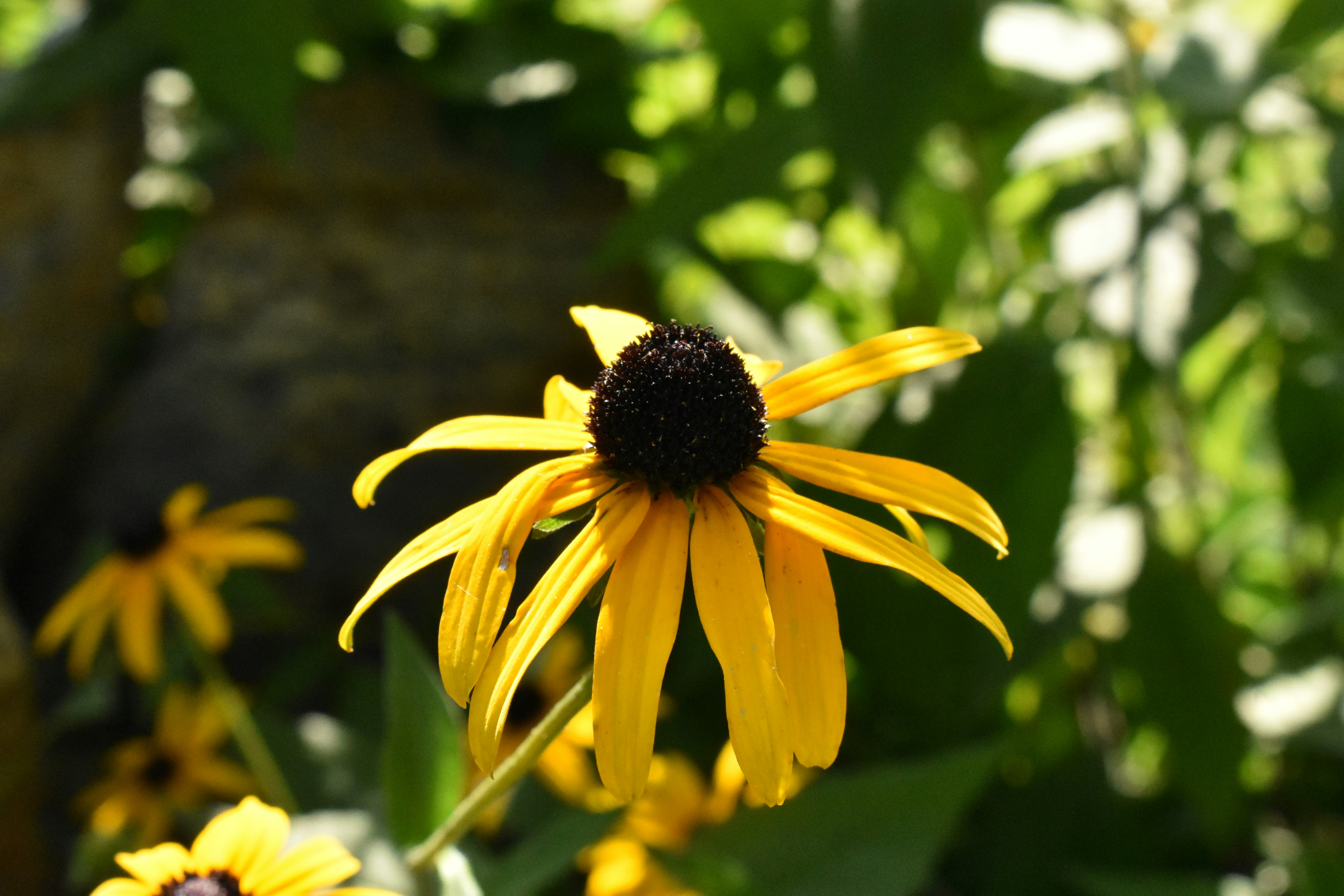 Photo by audrivangores