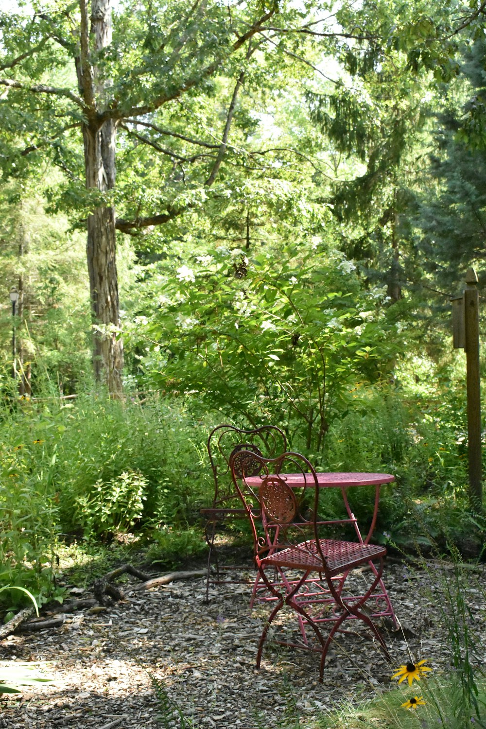 a red table and chair sitting in the middle of a forest
