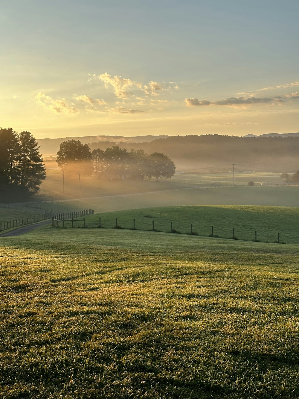 a grassy field with a fence in the foreground