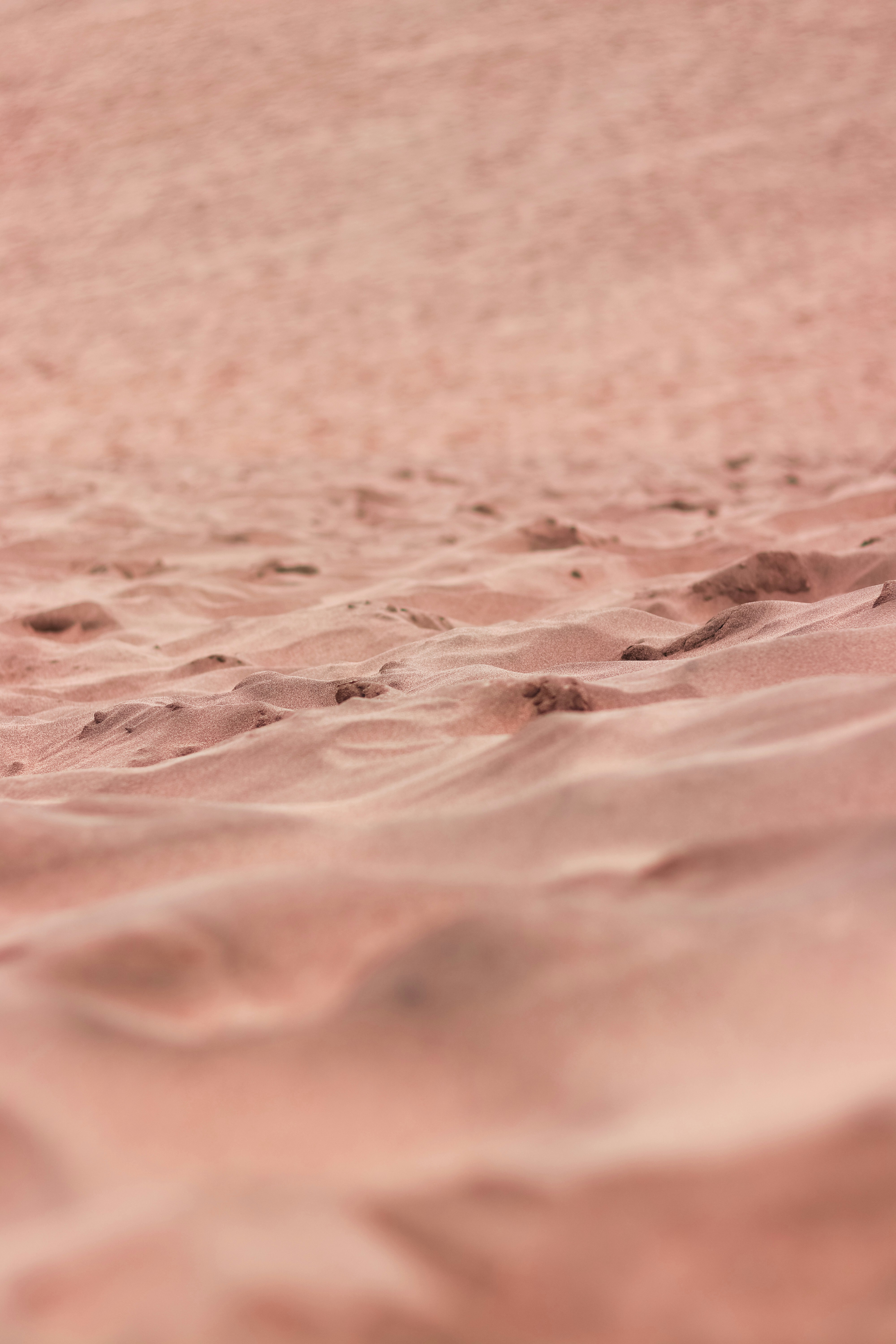 a bird standing on top of a sandy beach