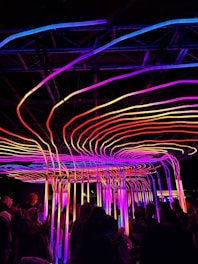 A vibrant installation featuring numerous neon lights in a variety of colors, including pink, purple, yellow, and blue, arranged in intricate, flowing patterns. The lights create an immersive environment above a crowd of people observing the artwork. The setting is likely an indoor event, emphasizing modern art.