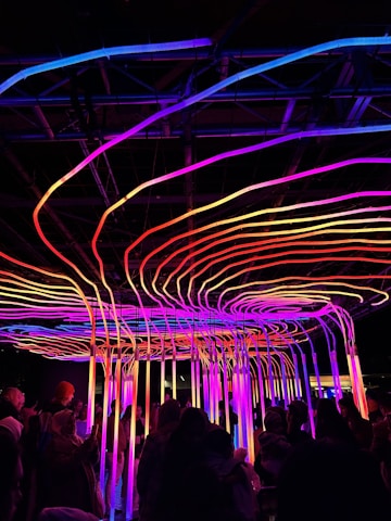 A vibrant installation featuring numerous neon lights in a variety of colors, including pink, purple, yellow, and blue, arranged in intricate, flowing patterns. The lights create an immersive environment above a crowd of people observing the artwork. The setting is likely an indoor event, emphasizing modern art.