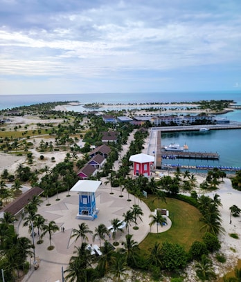 an aerial view of a beach with a pier and buildings