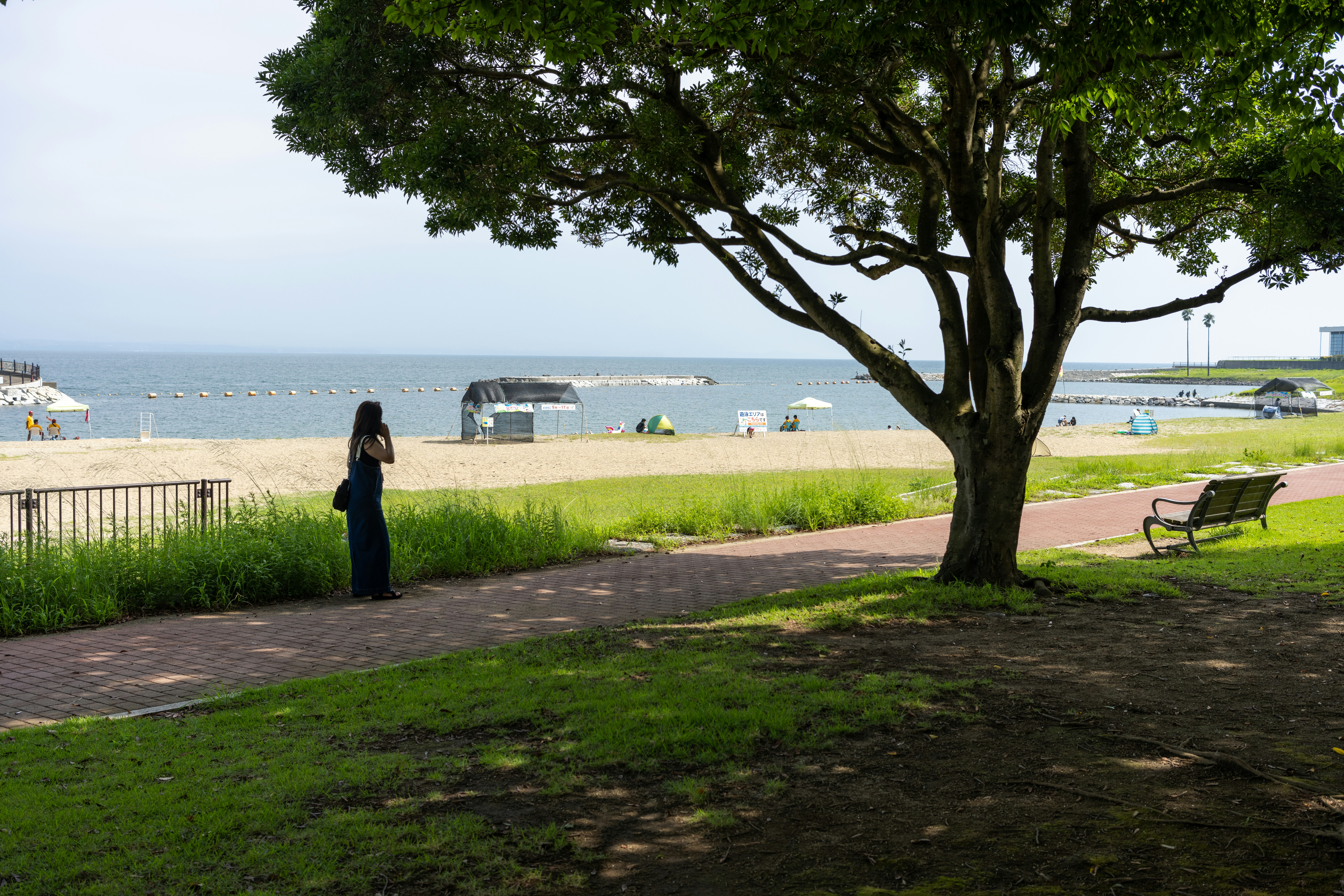 Aaron Park