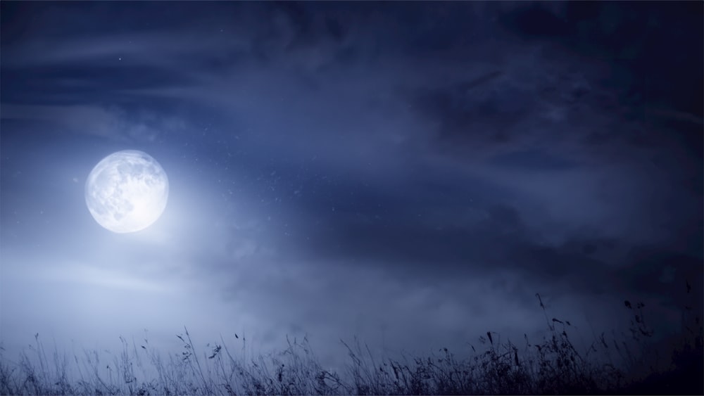 a full moon in the night sky over a field