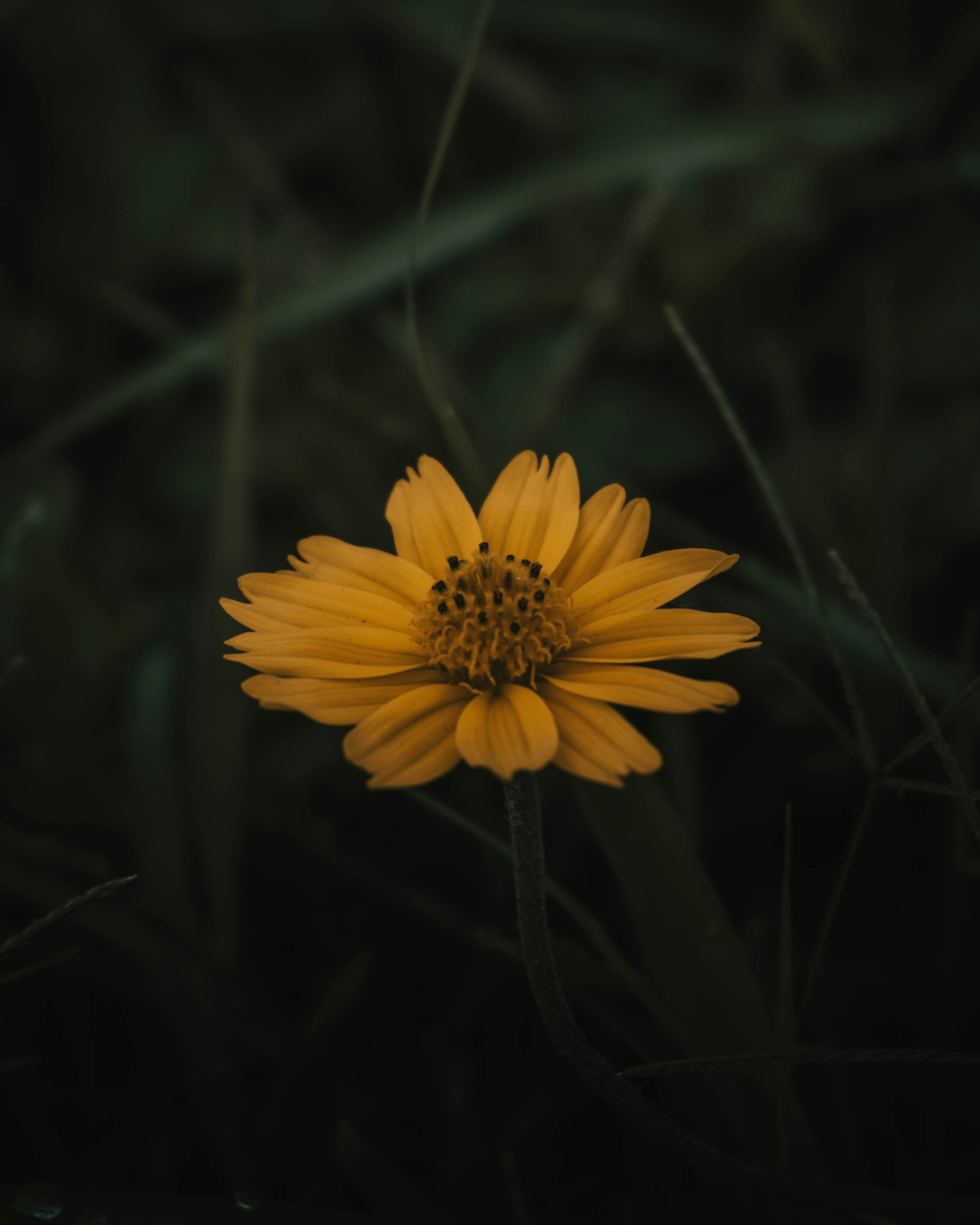 Photo by haythamkenway