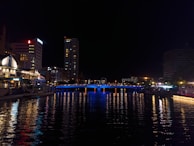 Nighttime cityscape illuminated by festive lights reflecting on a calm river.