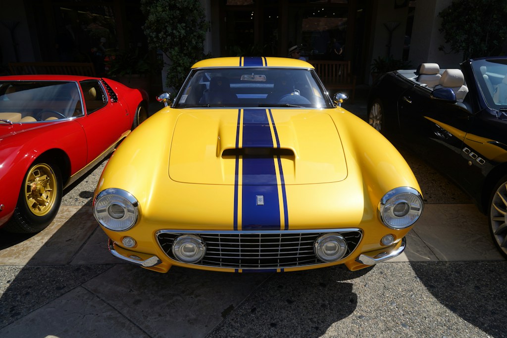 Sunny Cruiser