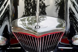 A close-up of a shiny car grille featuring a prominent 'B' emblem with wings. The reflection of trees and surroundings is visible on the glossy surface of the car.