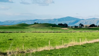 A scenic farmland plot bordered by trees and hills.