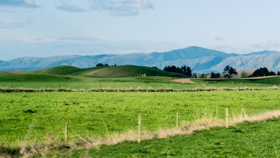 A scenic farmland plot bordered by trees and hills.