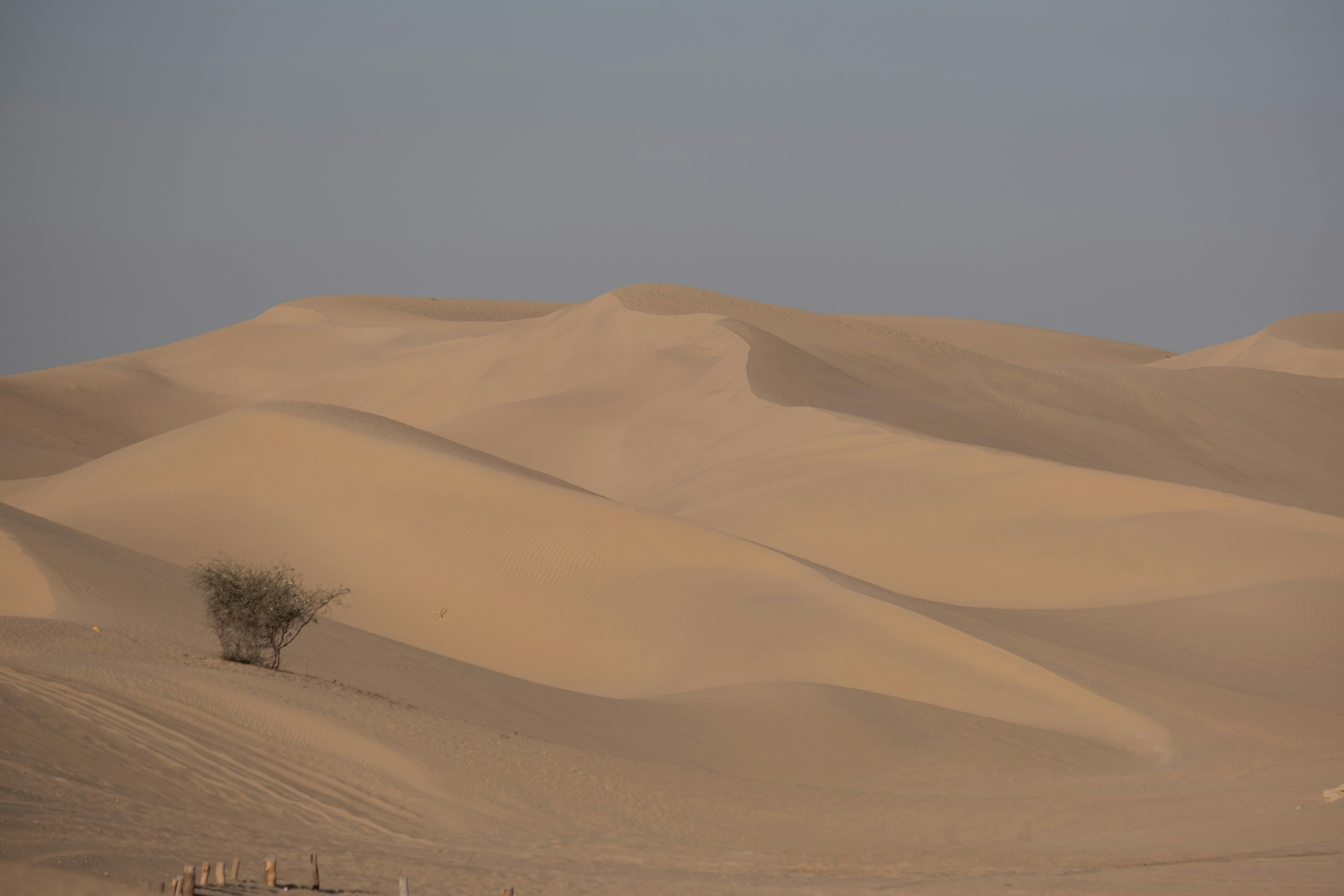 Photo by mo_design_3d