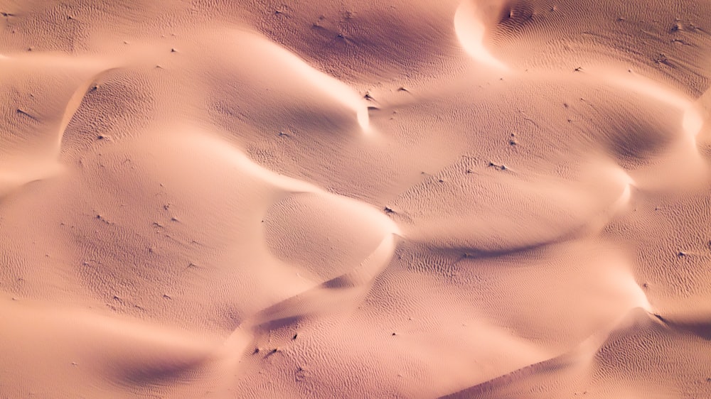 a sandy area with a lot of sand dunes