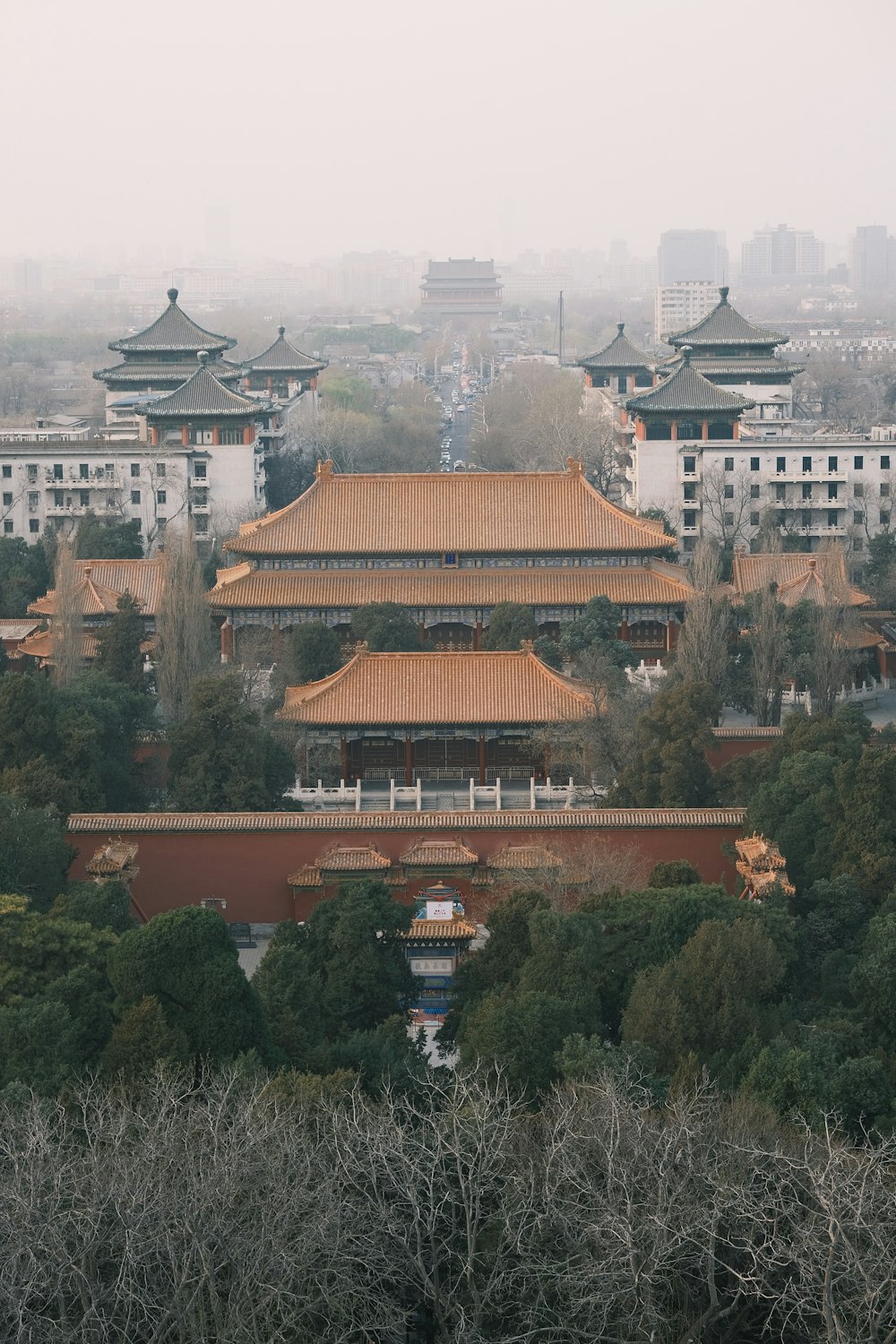 a view of a building in the middle of a forest