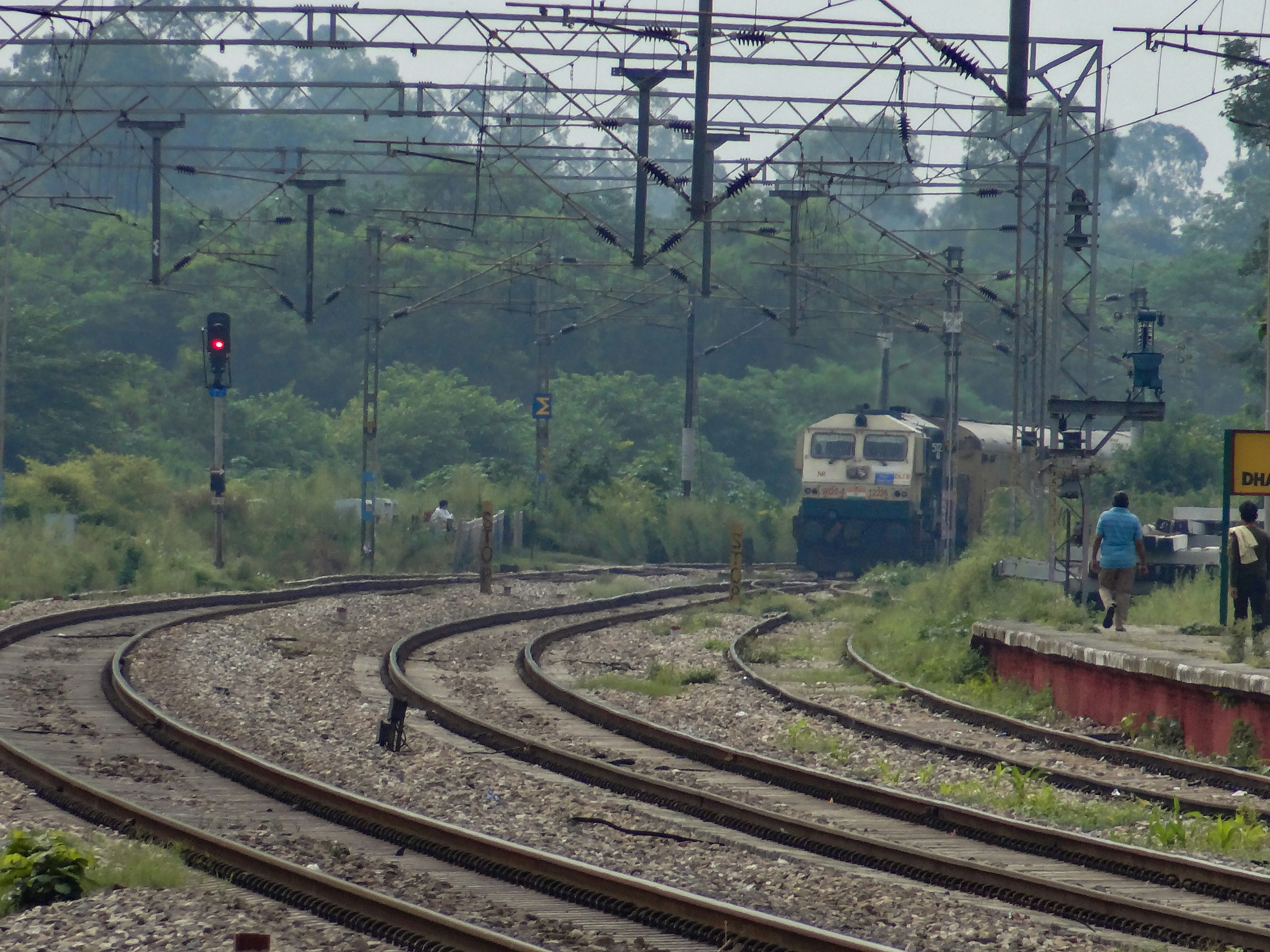 A train traveling down train tracks next to a forest photo – Free ...