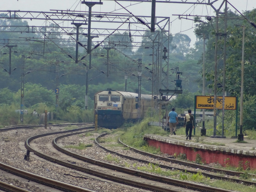 a train traveling down tracks next to a forest