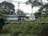 A train is moving along tracks surrounded by greenery and trees. Overhead power lines are visible, and there is a signboard with the name Dhandera on the platform.