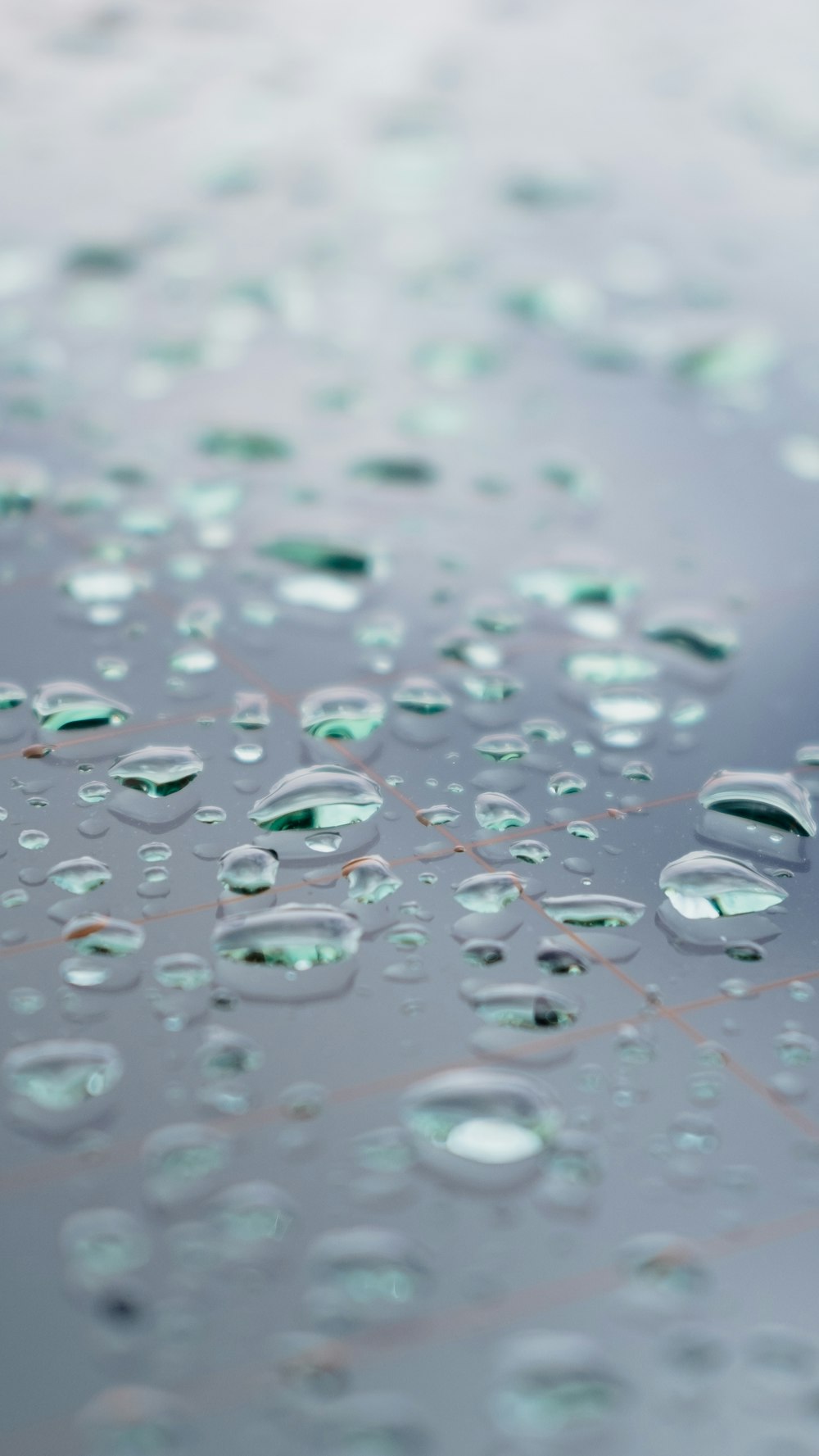 a close up of water droplets on a surface