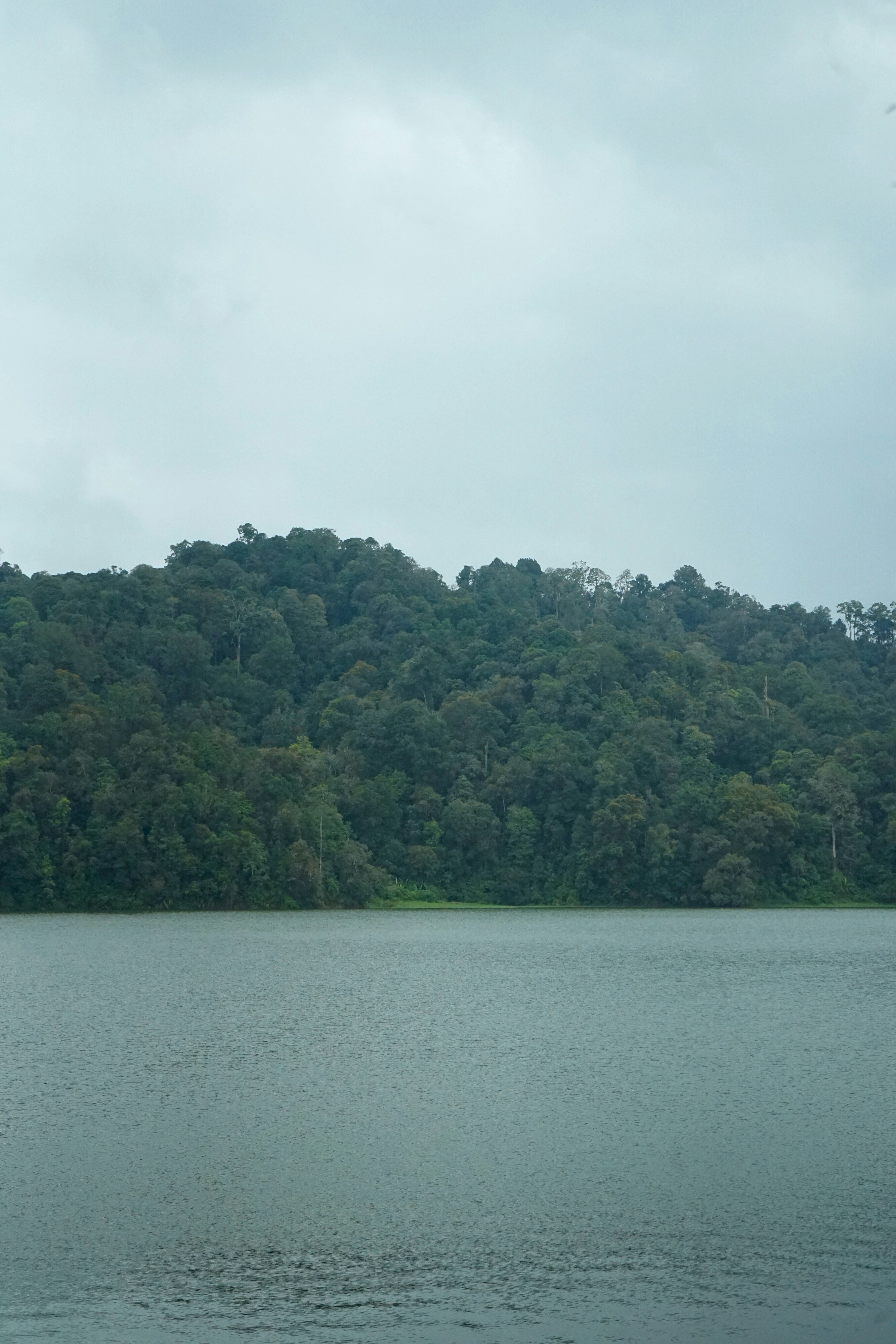 Photo by triantosyahbannu