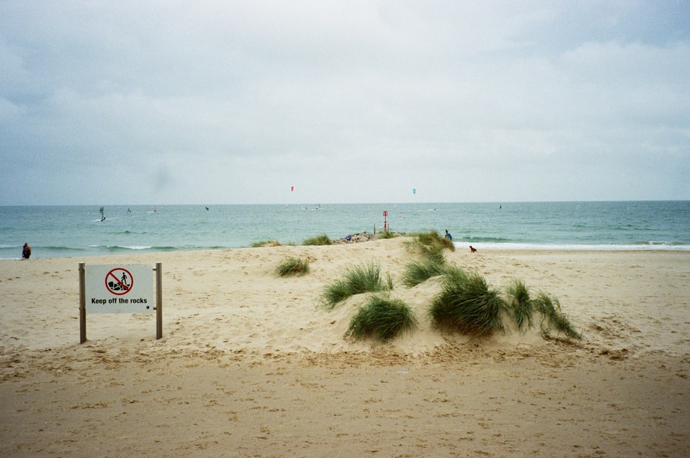 a no swimming sign on a sandy beach
