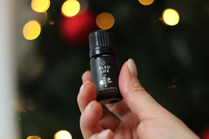 A hand holding a small bottle of oil with a backdrop of green olive trees.