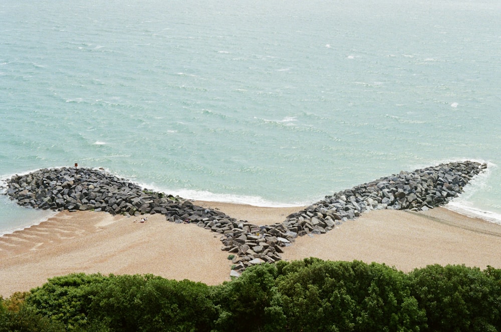 a large group of birds sitting on top of a sandy beach