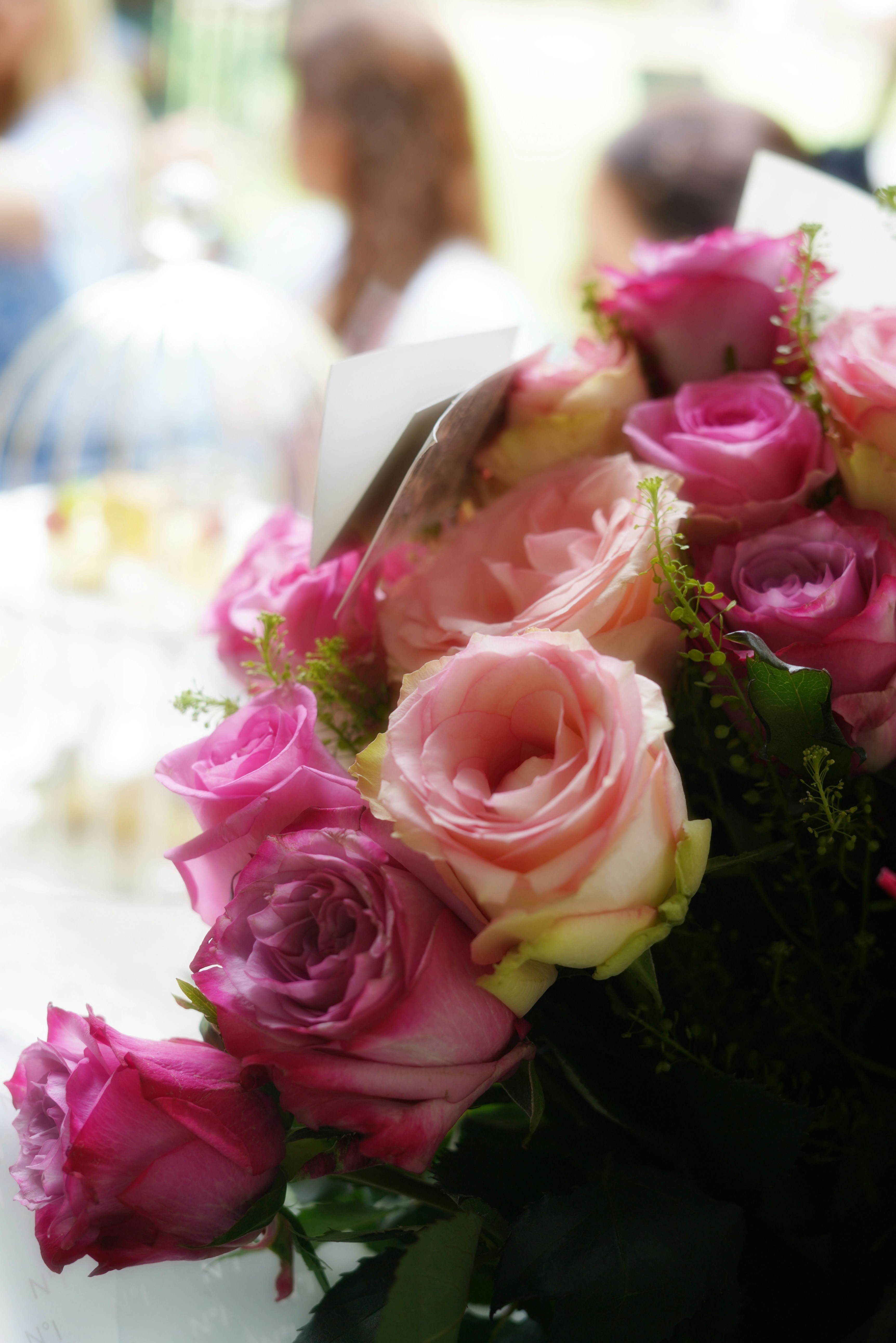 Photo by babs_gorniak