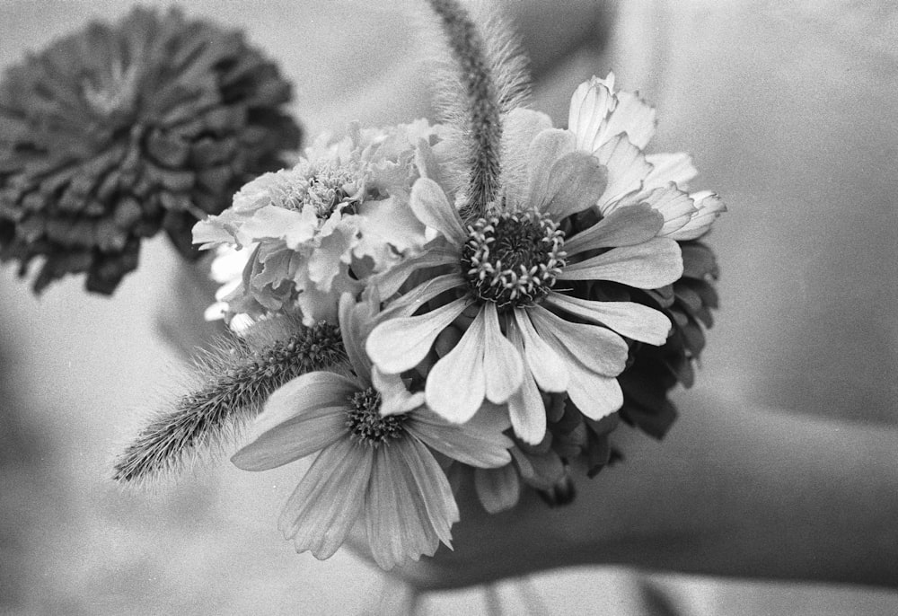 a woman holding a bouquet of flowers in her hand