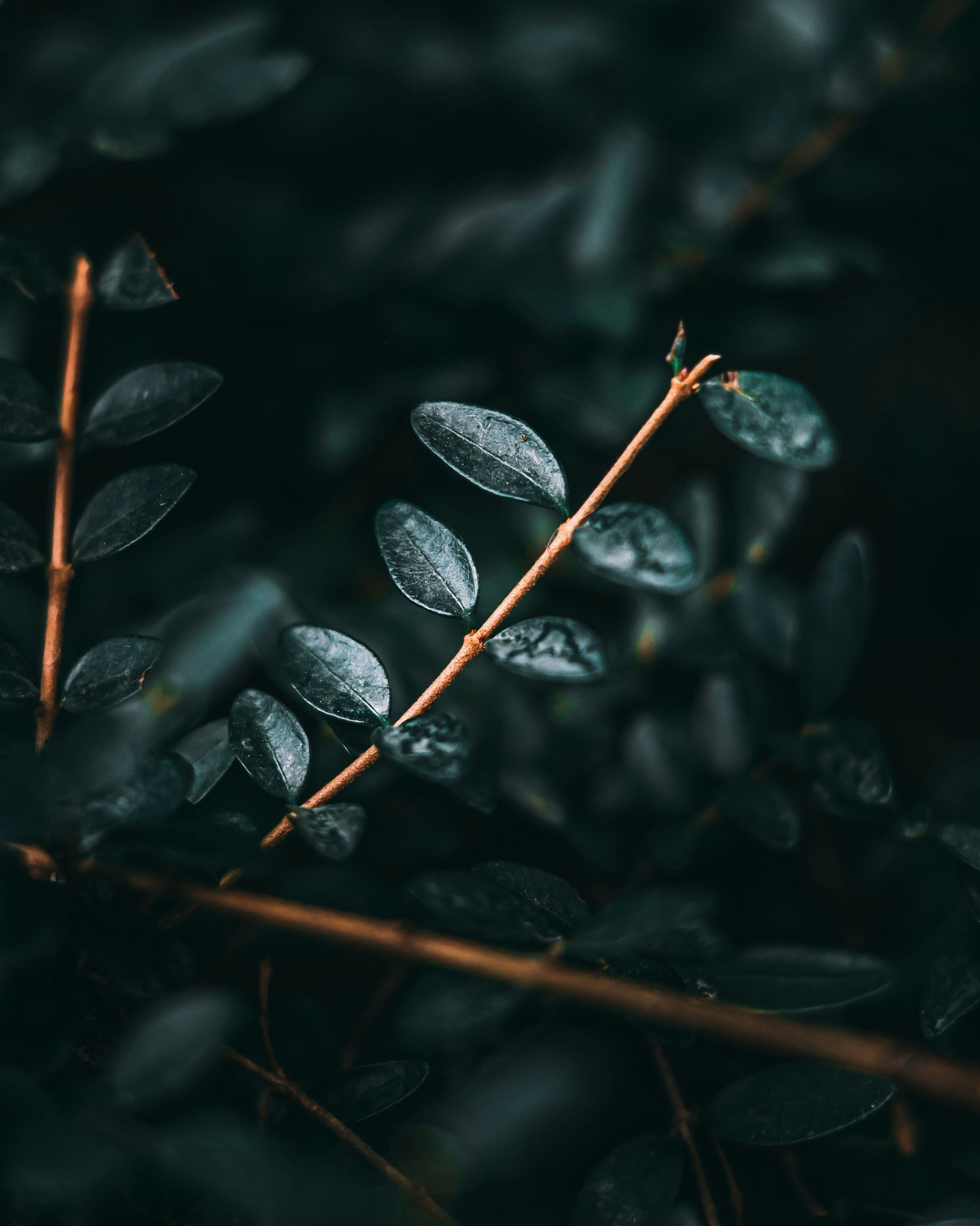 Photo by wojtekpaczes