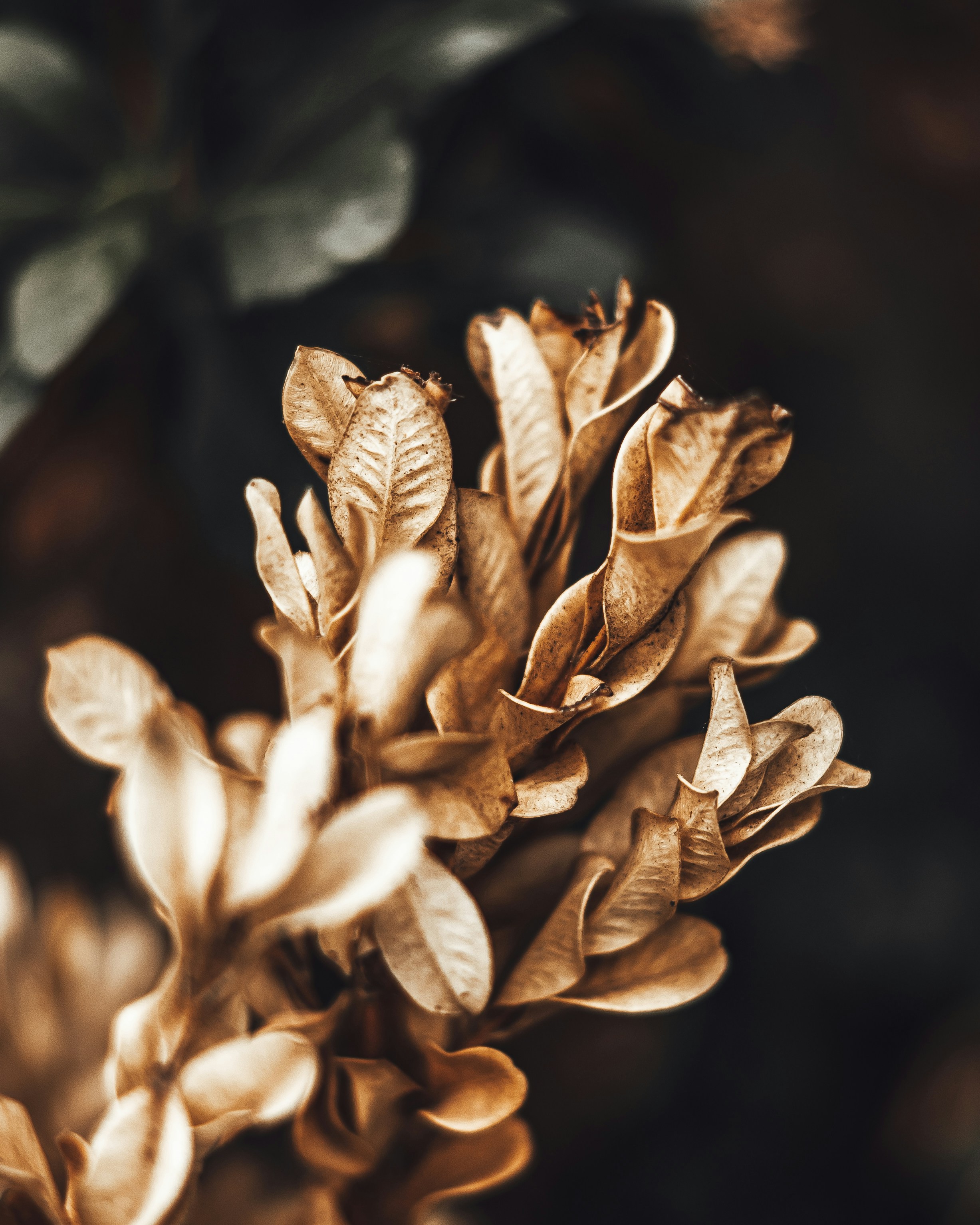 Photo by wojtekpaczes