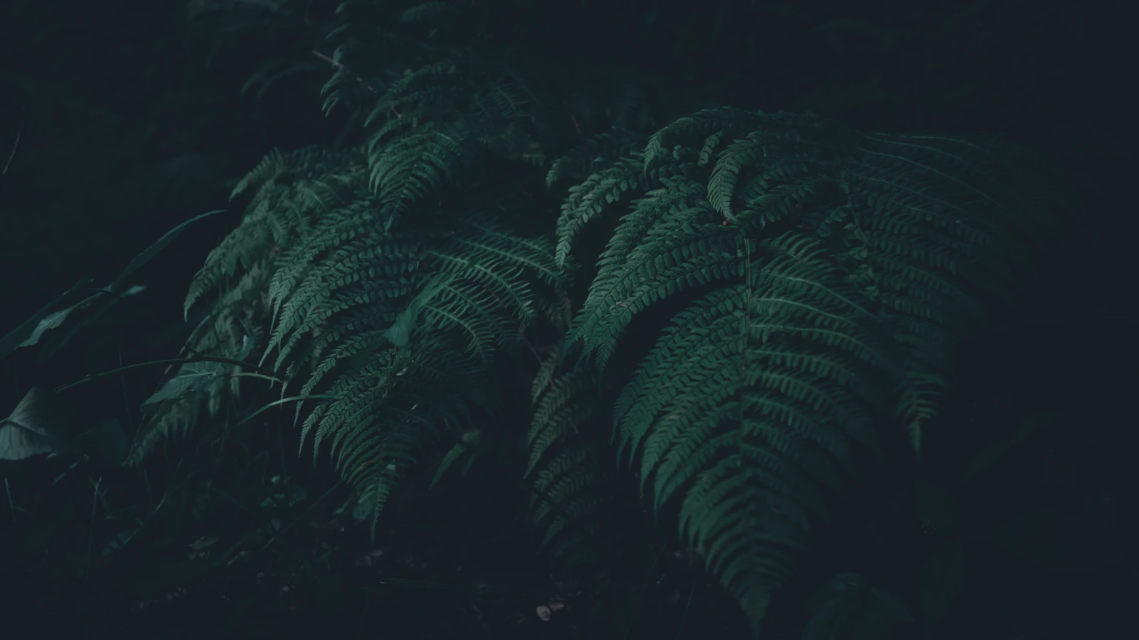 Notitieblok met prijsberekeningen en laptop op houten bureau