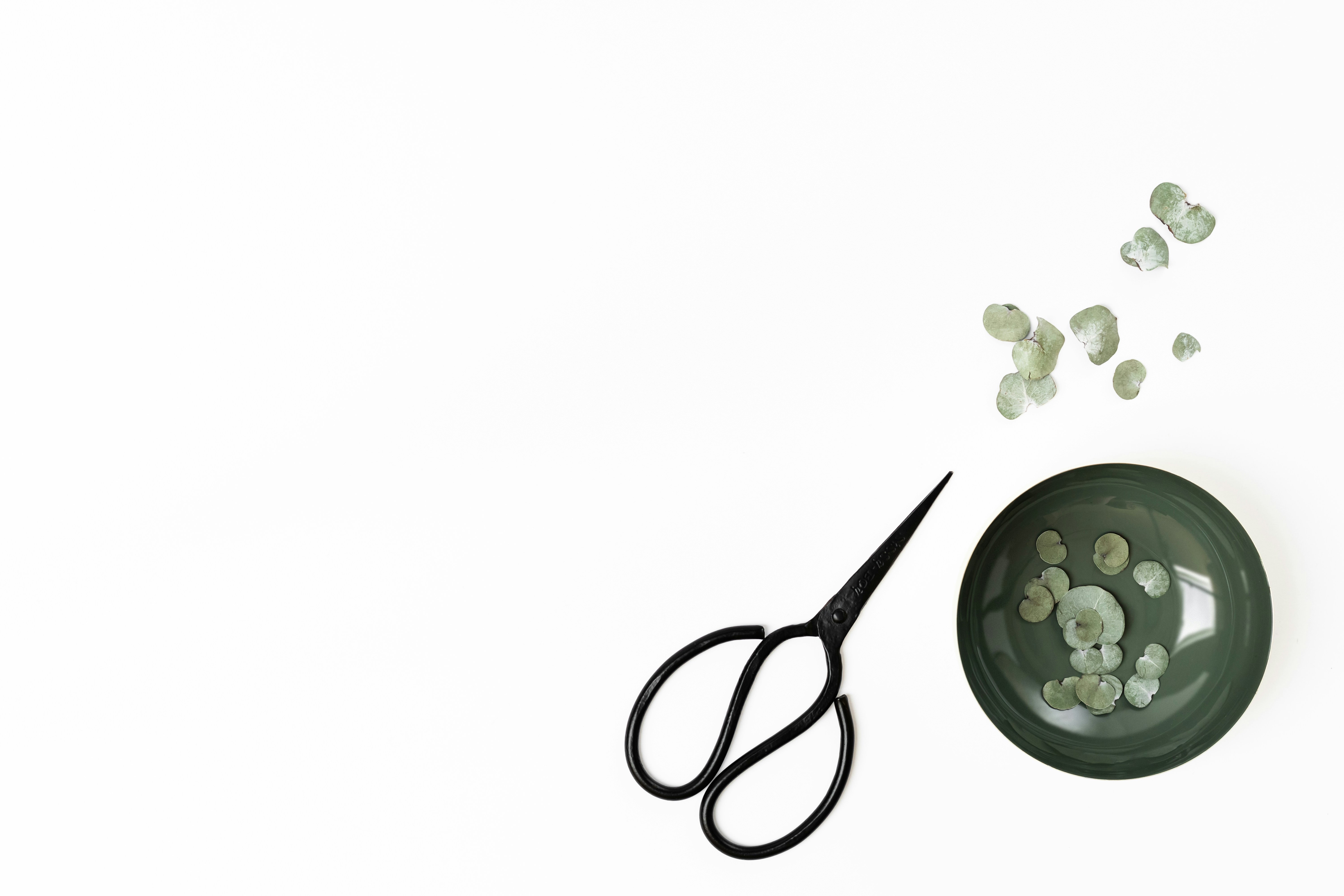 ErgoGrip Garden Shears