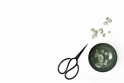 A pair of sturdy kitchen shears resting beside a colorful vegetable medley.