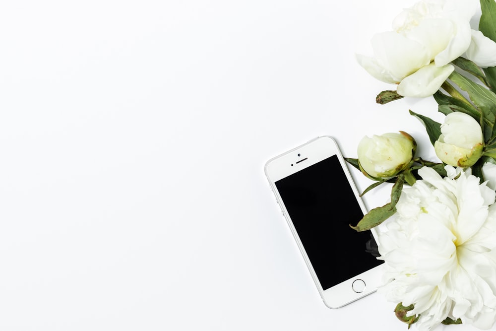 white flowers and a cell phone on a white background