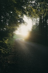 the sun is shining through the trees on the road