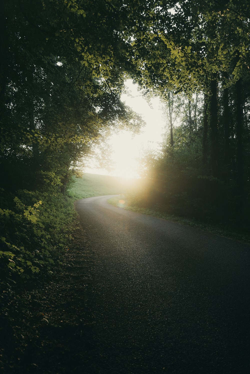 the sun is shining through the trees on the road