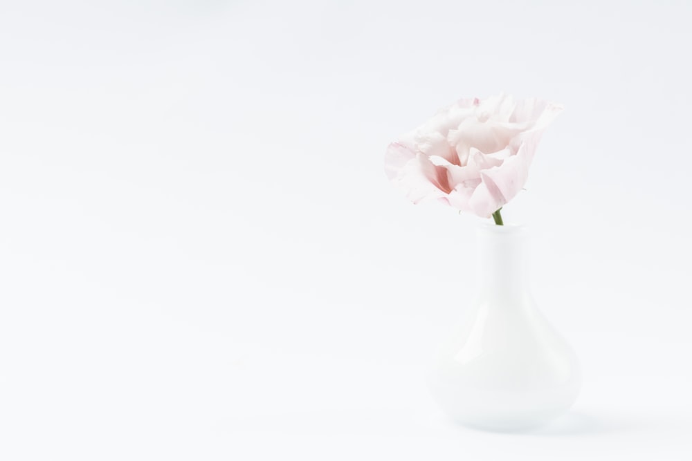 a white vase with pink flowers in it